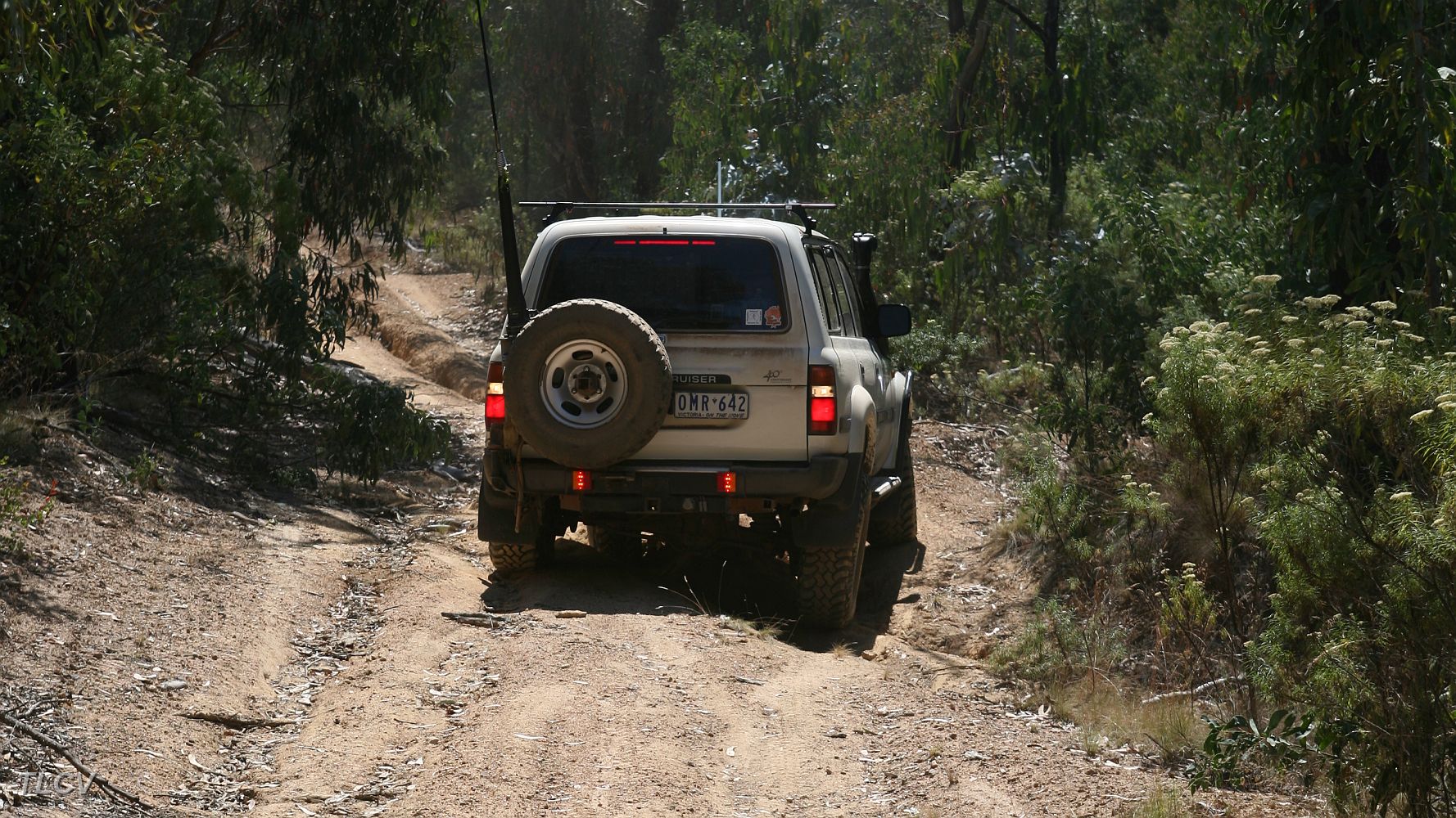 27-Zebra climbs through some deep ruts on Mt Stawell Track.JPG